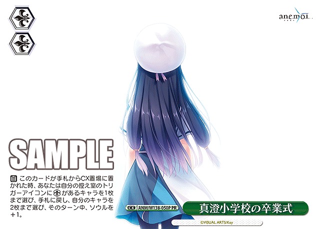真澄小学校の卒業式 (PR) 【ANM/W138-050PR】